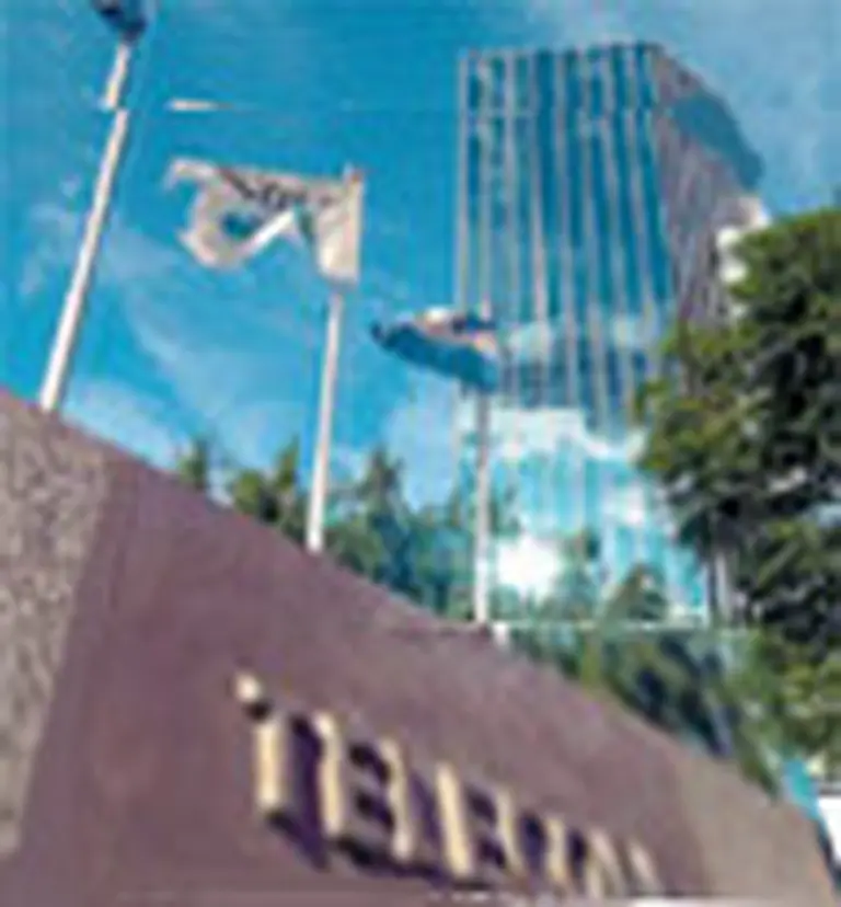 Telecom espera una regulación "apropiada"