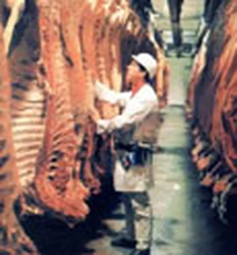 JBS y Swift crean la productora de carne más grande del mundo