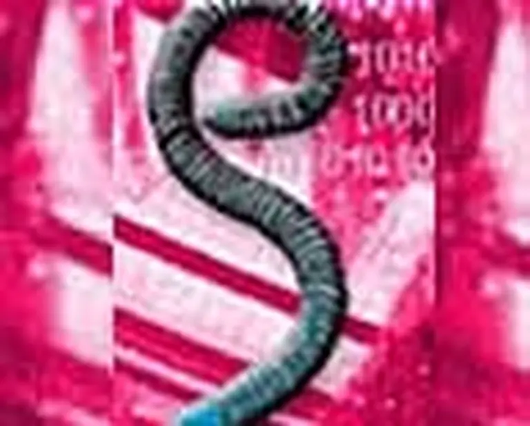 Expertos ya comparan a Sasser con MsBlast