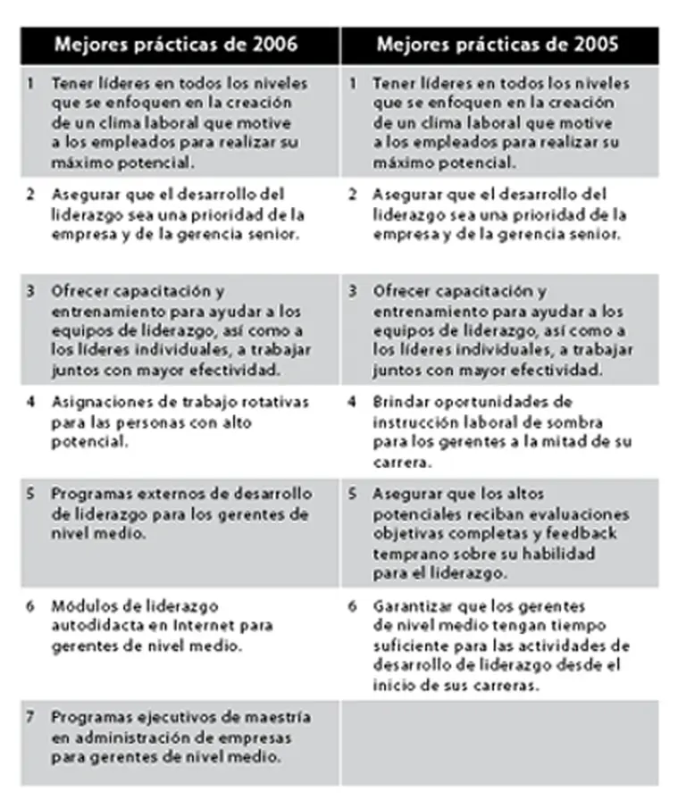 Qué hacen las 20 mejores empresas para formar lí­deres
