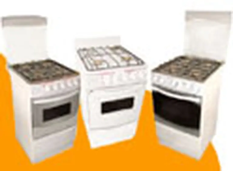 Compañí­a mexicana instalará en el paí­s una fábrica de cocinas