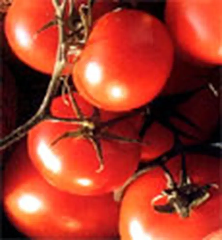 Kosher, Halal y orgánicos: la gran apuesta agroexportadora