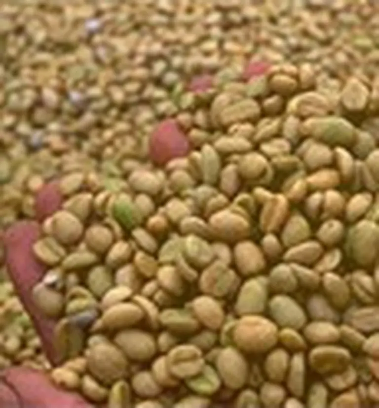 Operadores de granos: último dí­a para inscribirse