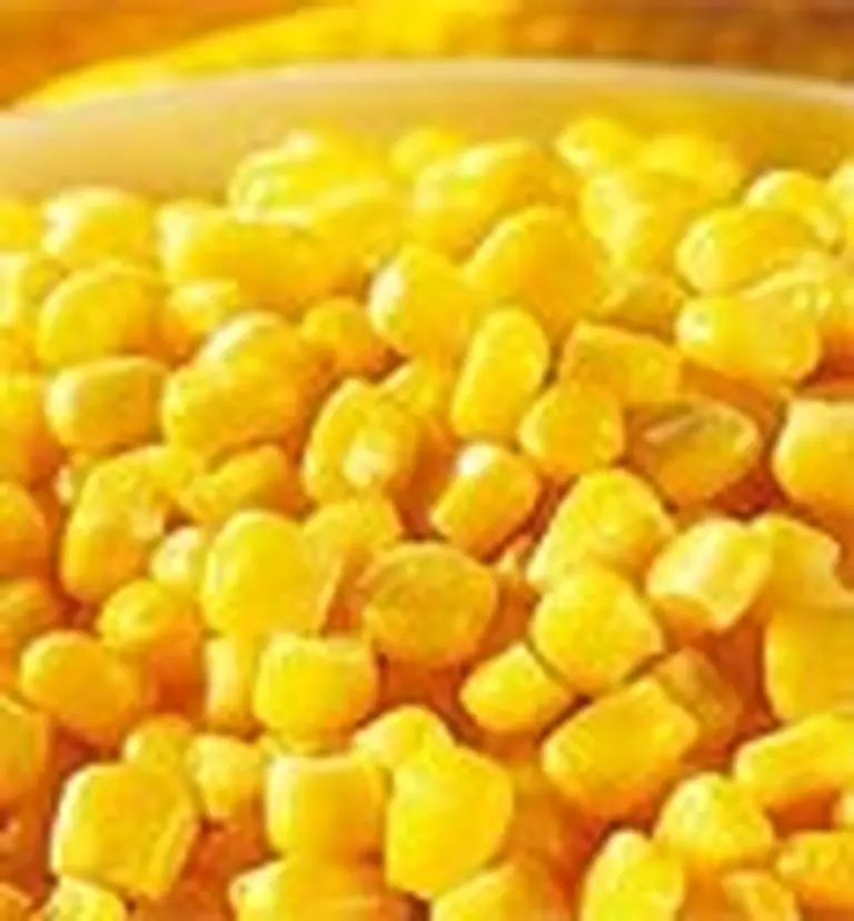 Para el agro hay "luz roja" para la campaña por registros