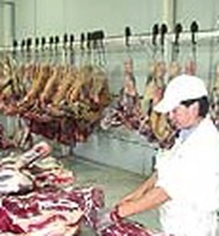 Marfrig cerró la compra de otros dos frigorí­ficos locales