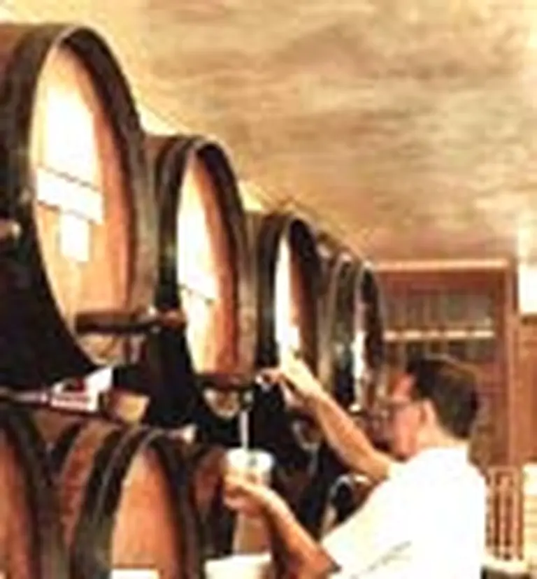 Empresario griego inaugura bodega en Mendoza