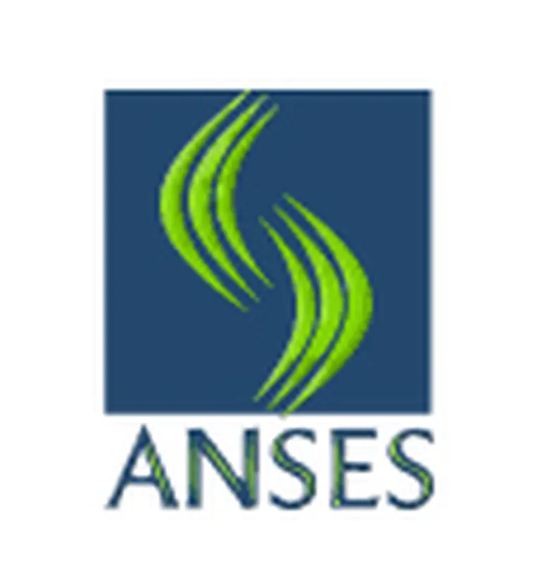 Con software libre la Anses ahorra al año 2 millones de pesos