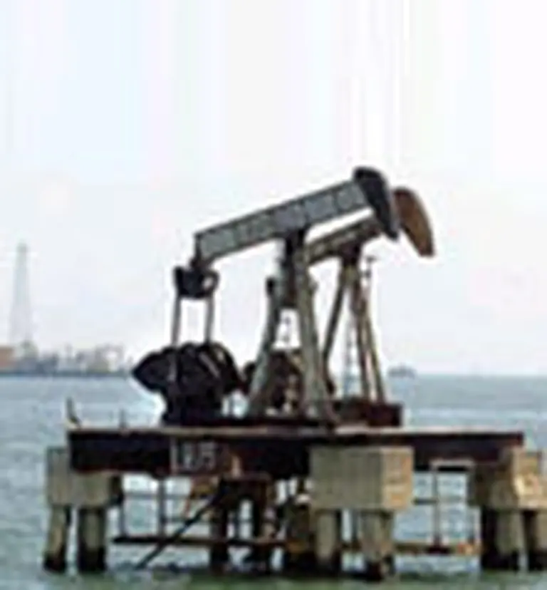 Pan American Energy se quedó con una licitación clave en Chile