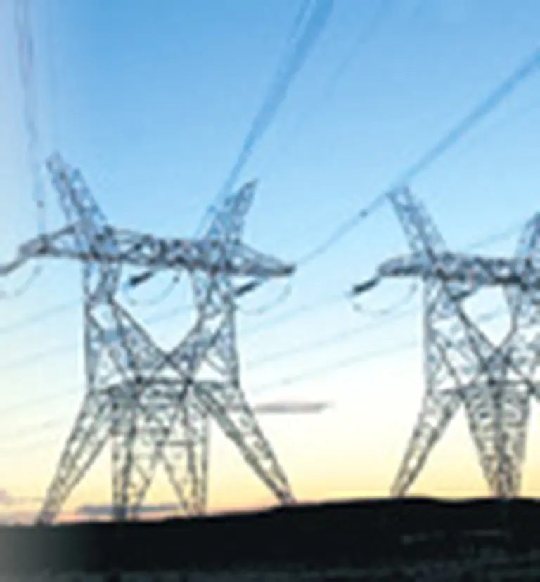 Inversores suizos toman posición en Central Puerto