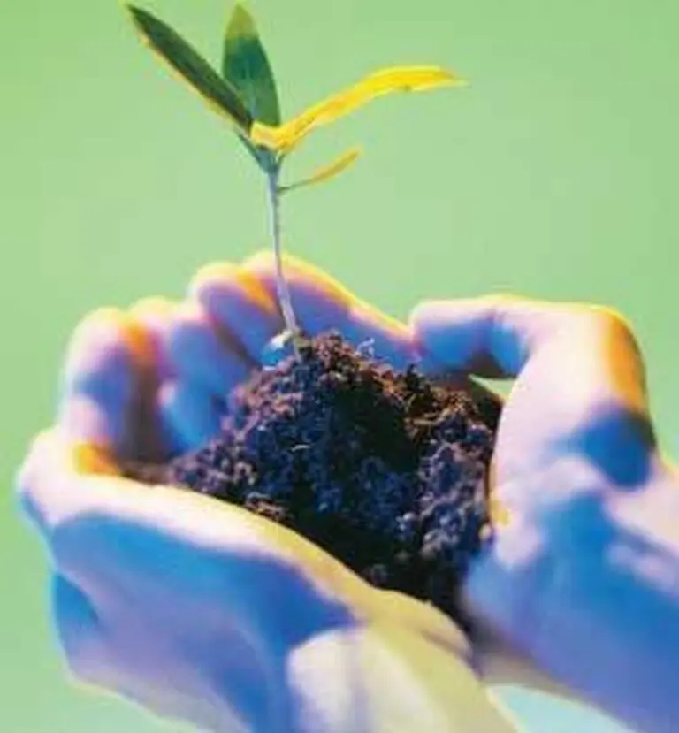 Presentan las diez tendencias que marcarán el 2008