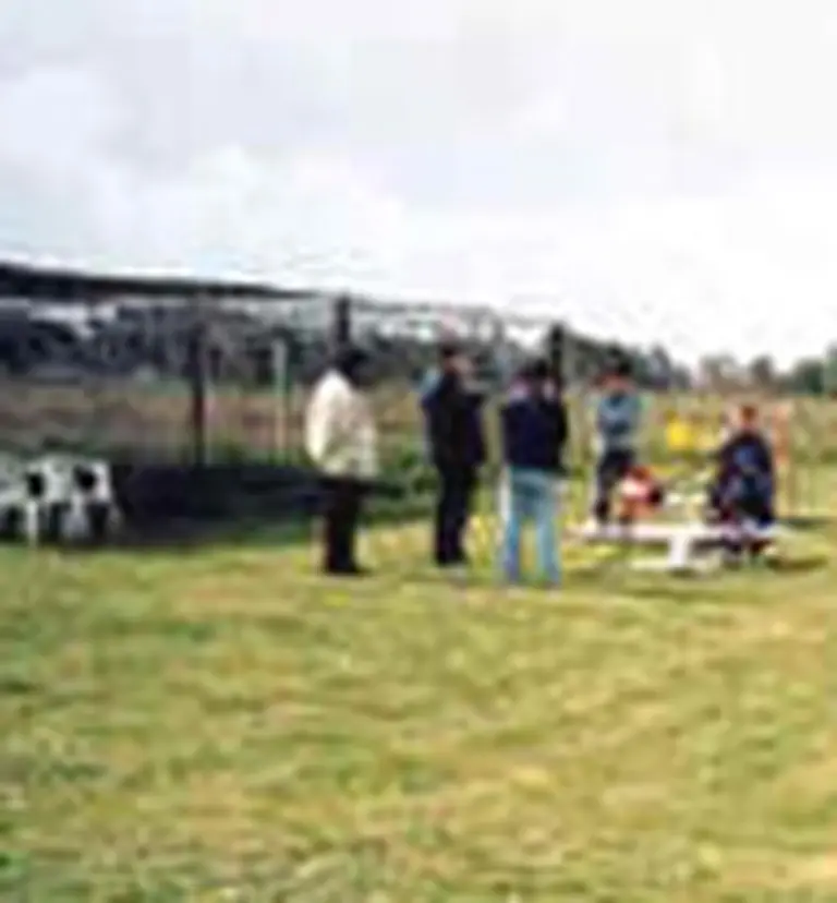 La operatoria con warrants superarí­a los $3.800 M en 2007