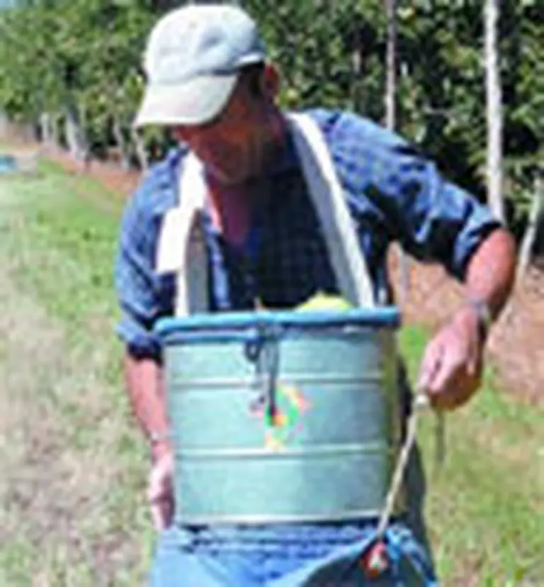 Rigen nuevos salarios mí­nimos para trabajadores agrarios