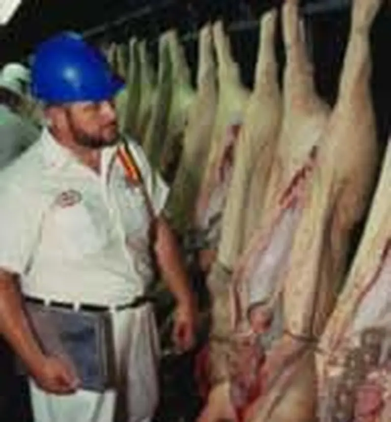 Blaquier invierte u$s25 millones en un frigorí­fico para porcinos