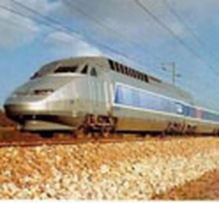 La construcción del tren bala comenzará en 60 dí­as