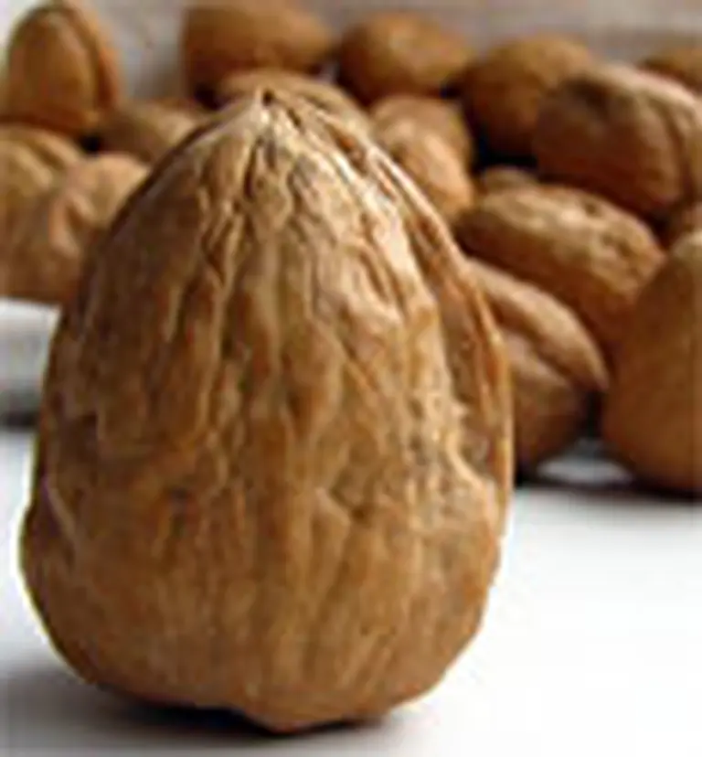 Argentina gana mercados con nueva variedad de nueces