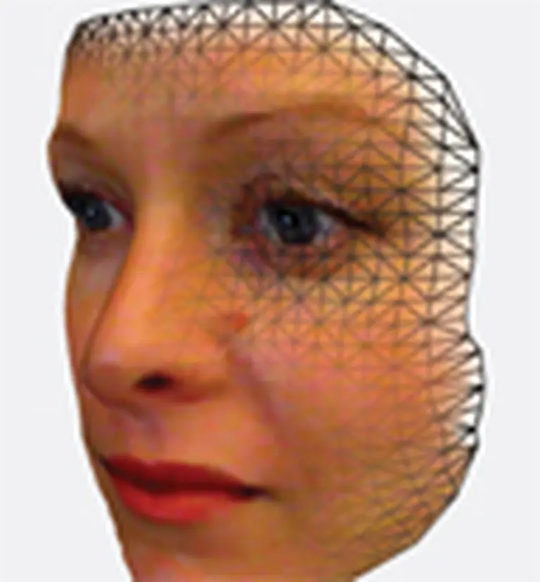 Lanzan un programa que reconoce las caras en Internet