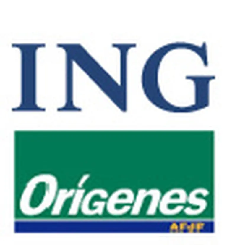 El Grupo ING gana u$s3.600 M y acelera su expansión