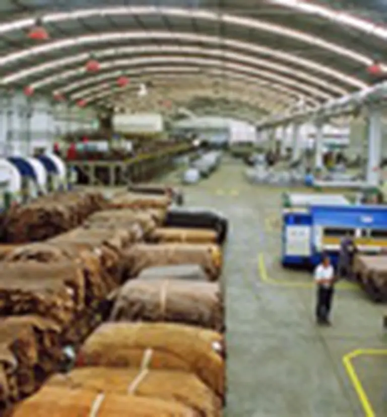 Los brasileños definen la compra de la curtiembre Yoma