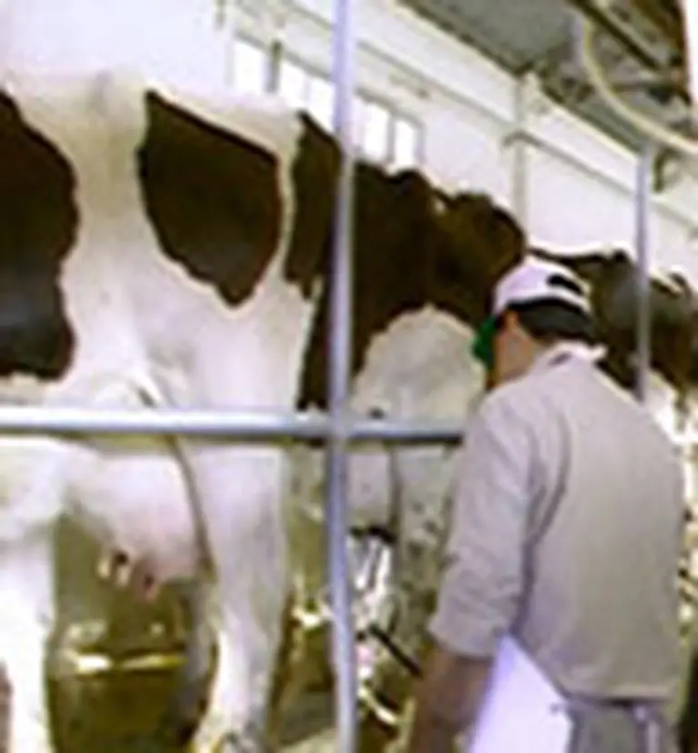 Afirman que se están rematando tambos por falta de rentabilidad