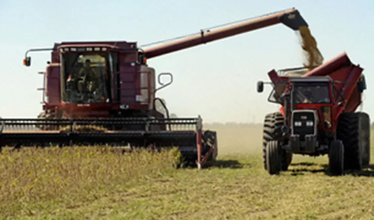 Expertos advierten que las retenciones fijas del 35% siguen siendo inconstitucionales