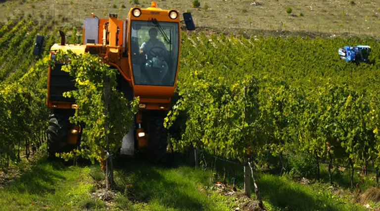 Aclaran pautas para liquidar vacaciones de trabajadores rurales