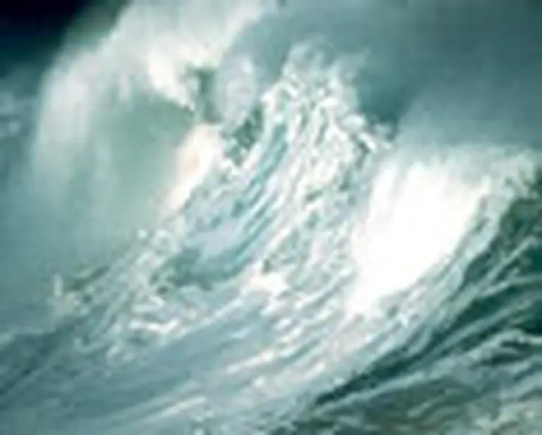 Olas gigantes, el temor de los buques