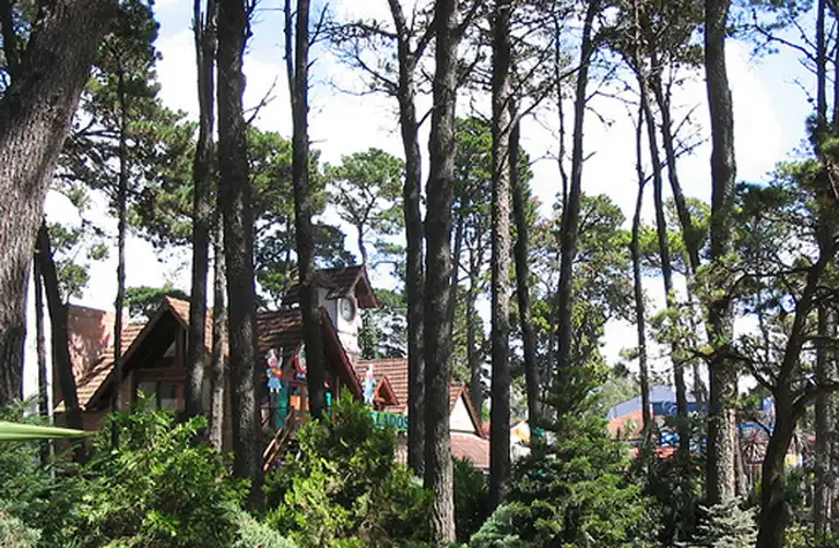 Una cooperativa despliega en Pinamar televisión por Internet