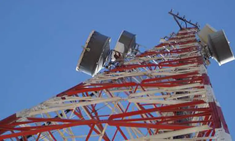 Tecnológicas piden al Gobierno cambios en la telefoní­a y apoyo para compras informáticas