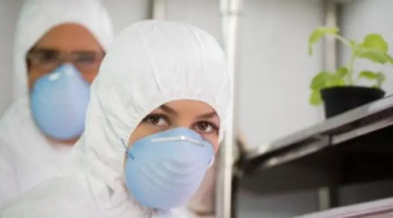 Una agencia de publicidad le puso diseño a los barbijos usados por la gripe porcina