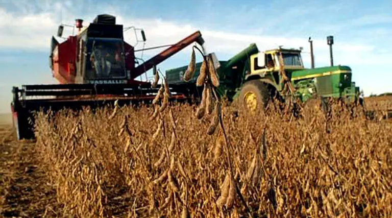 Argentina respira: precio de la soja alcanzó su máximo nivel en 8 meses