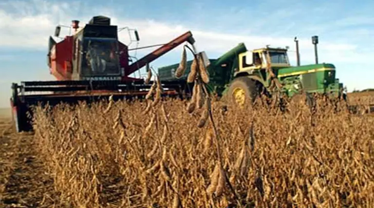 Alertan que la producción de granos caerá 35% en esta campaña