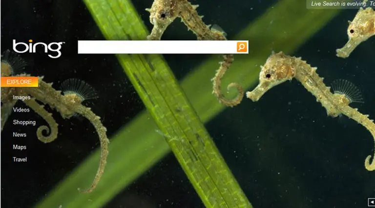 Microsoft presenta Bing, su nuevo buscador en Internet