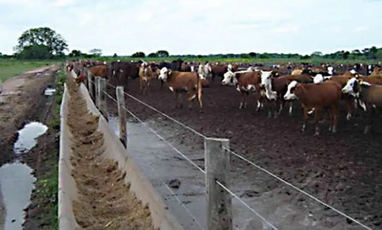 La ex ONCAA pagó subsidios de más y no reclamó la devolución