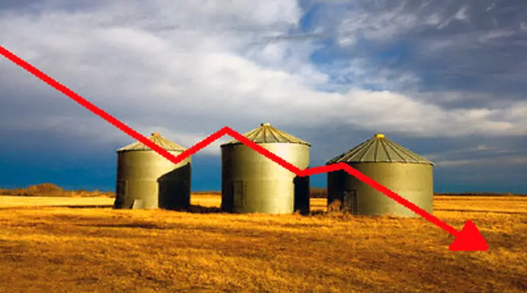 La soja no encuentra piso: cayó por debajo de los u$s400 en Chicago