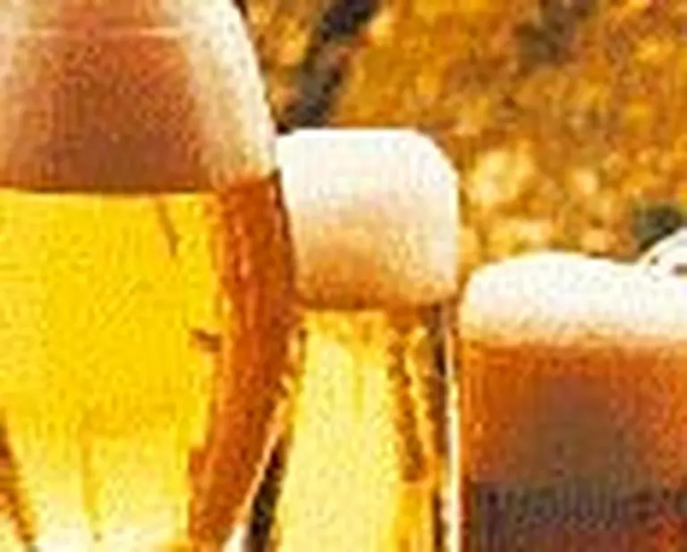 La cervecera CCU invertirá u$s12 M en Santa Fe