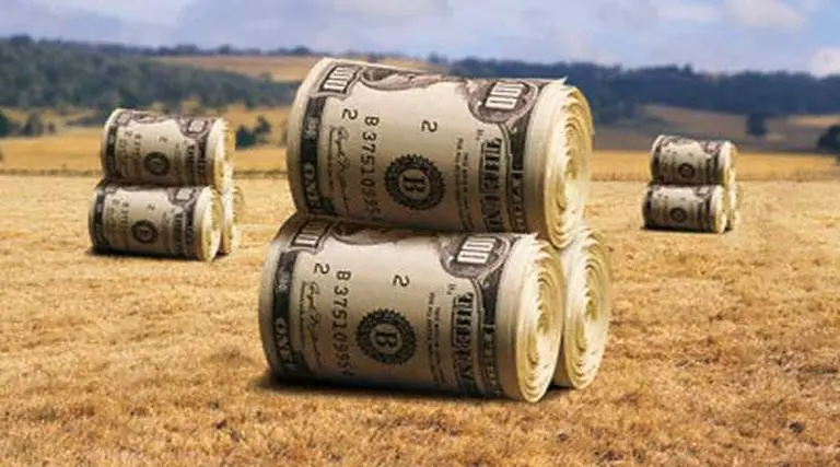 Alquilar un campo cuesta un 30% menos y sigue en baja el precio de venta