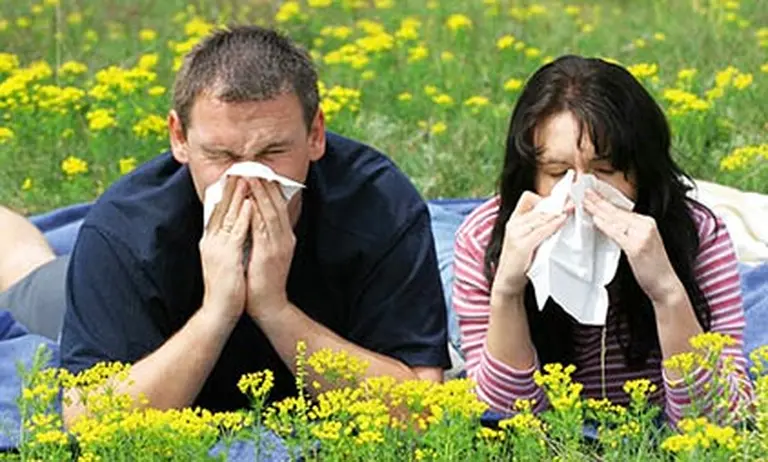 Esa curiosa alergia: ¿cuáles son las más raras?