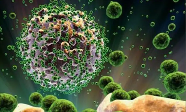 Estos son los 10 virus más peligrosos del mundo