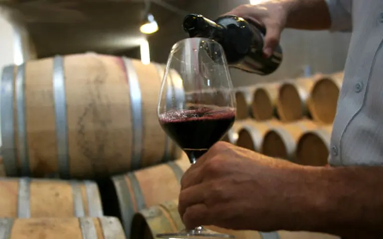 Hay equipo: cumbre de bodegas para definir el futuro del negocio del vino tras el tsunami