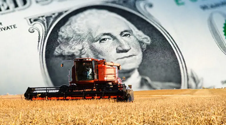 Rebajan las previsiones sobre la cosecha de soja argentina