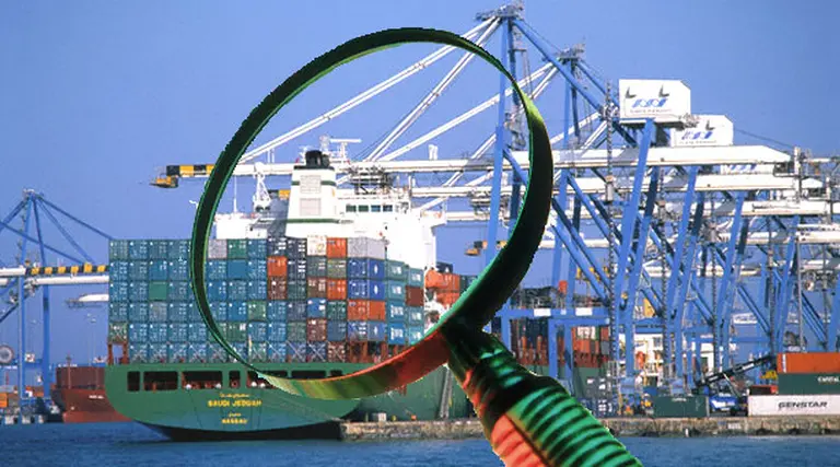 Quiénes son los grandes dueños de las importaciones en la Argentina