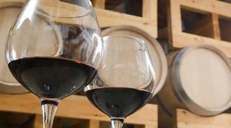 Con ustedes, el famoso "dream team": los diez vinos más caros de la Argentina