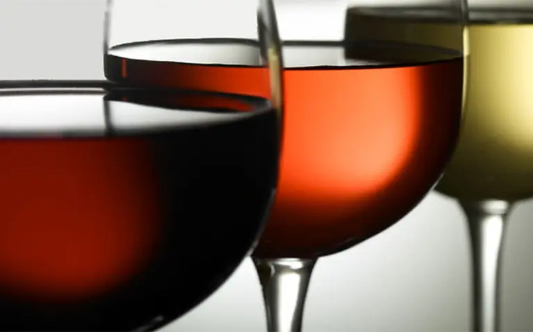 ¿Cuáles son los mejores vinos argentinos "de todos los dí­as"?