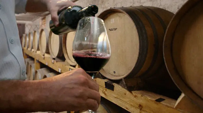 ¿Cuánto sale darse el exclusivo "gustito" de tener una marca de vinos propia?