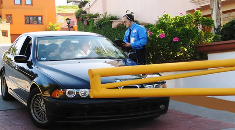 Ya hay casi dos vigiladores por policí­a y la seguridad privada factura u$s1.000 M