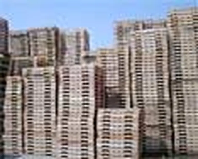 Se retrasa la implementación de la norma sanitaria para los pallets