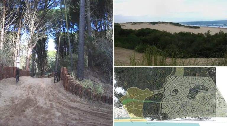 Con una inversión de u$s2,5 millones, llega a Cariló el primer barrio premium