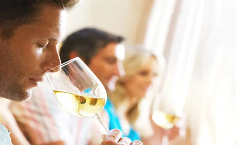 Dream team: los vinos argentinos más caros que consume el mundo