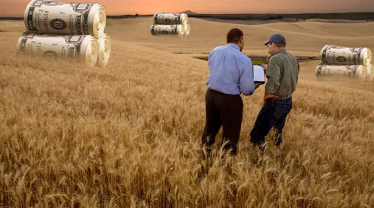 Campos argentinos: precios "quietos" reactivan el interés por la compra y el alquiler