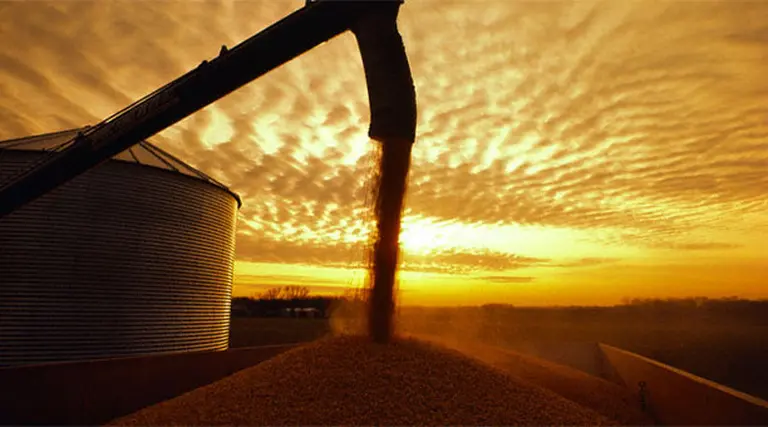 En dos años, la Argentina podrí­a producir 30 M de toneladas de maí­z